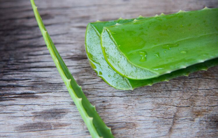 Aloe Vera'nın Saç Bakımına Faydaları-1