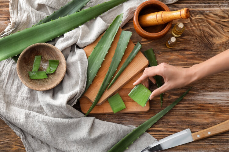 Evde Aloe Vera Maskesi İle Cildini Besle-2