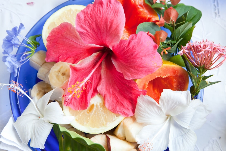 Greyfurt ve Hibiskusun Mucizevi Etkilerini Keşfedin-3