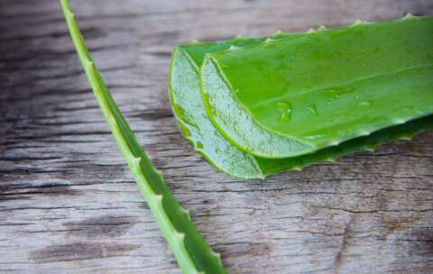Aloe Vera'nın Saç Bakımına Faydaları-2