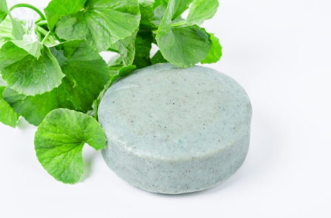 Centella Asiatica (Gotu Kola) Nedir, Faydaları Nelerdir? -4