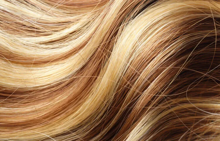Doğal Sarı Saç Renkleri Hakkında Bilmeniz Gereken Her Şey-5 - Saç Bakım Güzellik
