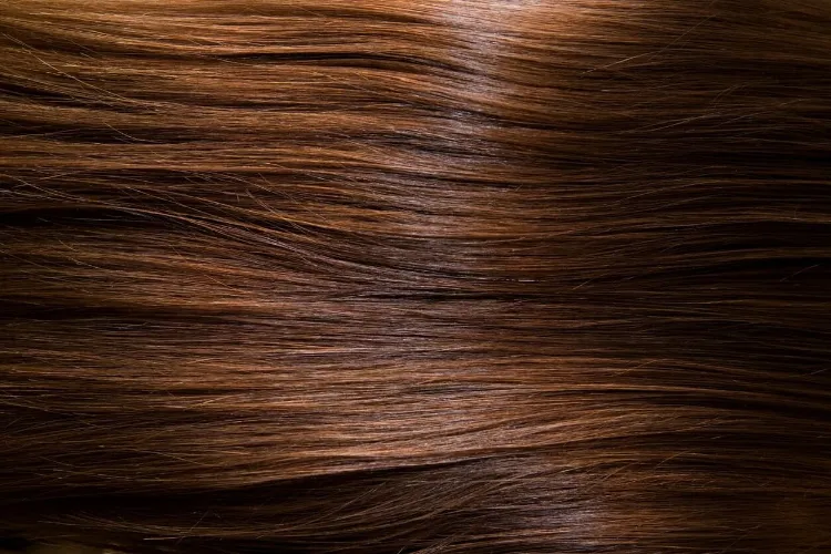 Kestane Saç Rengi: Kestane Tonları Kime Yakışır?-3 - Saç Bakım Güzellik
