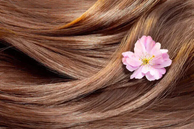 Kiraz Çiçeğinin Saça Faydaları-1 - Saç Bakım Güzellik