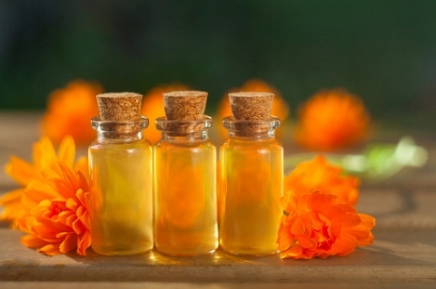 Aynısefa(Calendula) Nedir? Faydaları ve Zararları-8 - Saç Bakım Güzellik