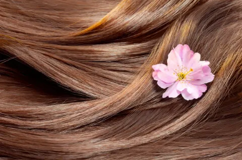 Kiraz Çiçeğinin Saça Faydaları-2 - Saç Bakım Güzellik