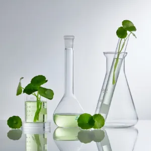 Centella Asiatica (Gotu Kola) Nedir, Faydaları Nelerdir?  - Saç Bakım Güzellik